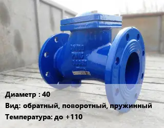 Клапан стальной 40 обратный, поворотный, пружинный до +110
